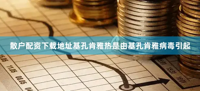 散户配资下载地址基孔肯雅热是由基孔肯雅病毒引起